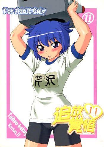 Tuihou-kakugo Version.11 cover