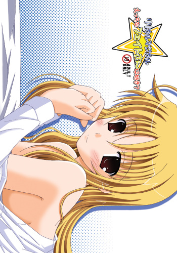 Lyrical Magical Ecchi na Fate-san wa Suki? cover