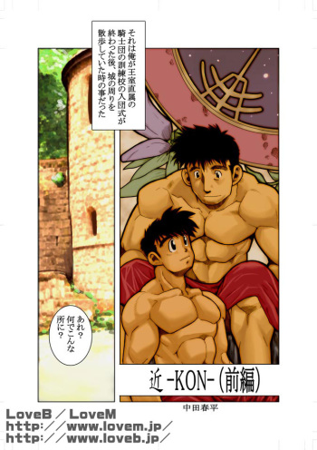 Kon cover