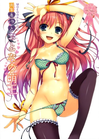 MOEOH Selection Artbook: Motto Otona no Moeoh cover