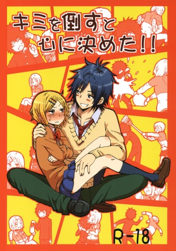 Kimi o Taosu to Kokoro ni Kimeta!! cover
