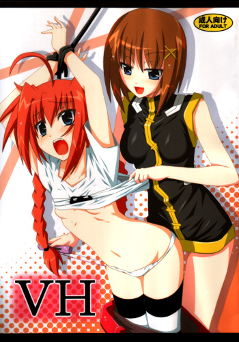 VH cover