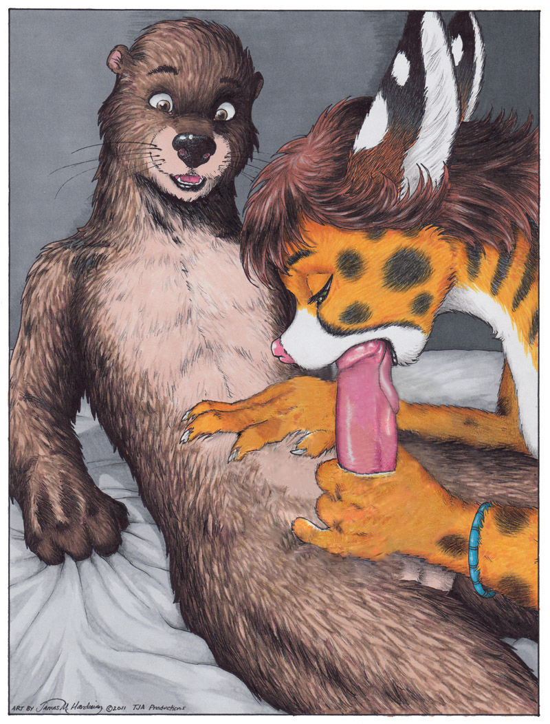 Straight Furry Blowjobs page 6 full
