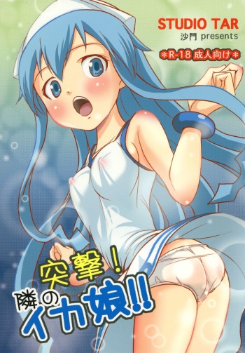 Totsugeki! Tonari no Ika Musume!! cover