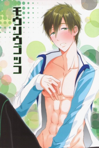 Mousougokko cover