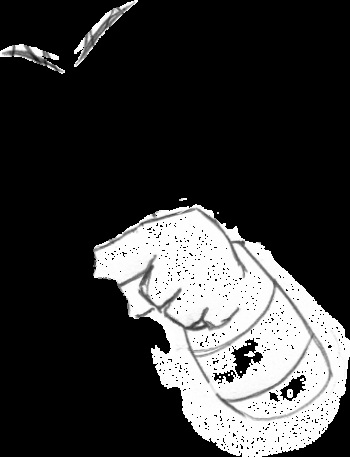 GIFs  Update 1-3-2014 cover