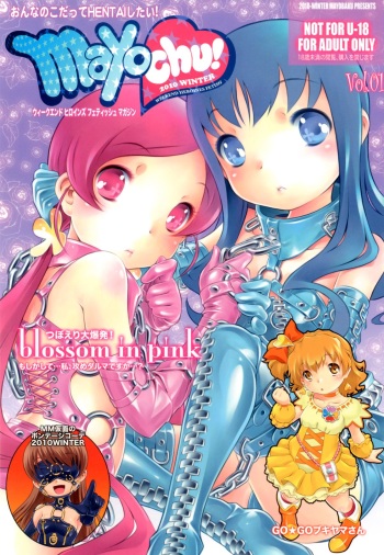mayo chu! cover
