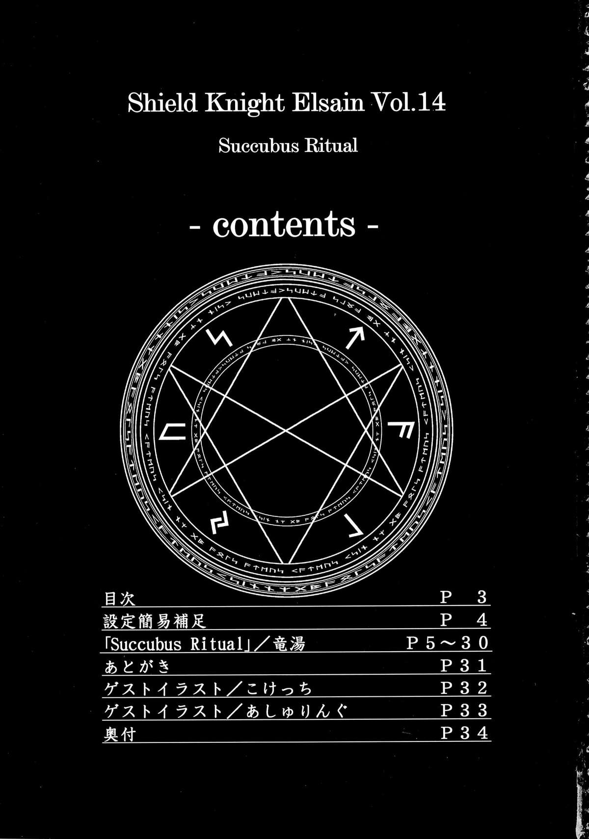 Shield Knight Elsain Vol. 14 Succubus Ritual page 2 full