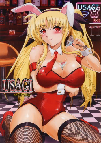 USAGI cover