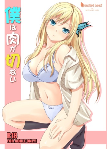 Boku wa Niku ga Setsunai cover