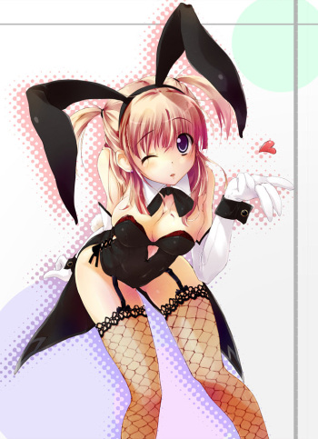 Girls in bunny-costumes cover