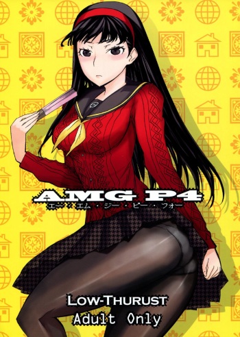 AMG P4 cover