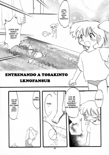 Torēningu tosakinto  LKNOFansub cover