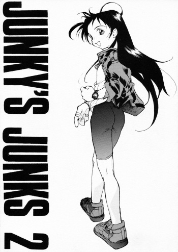 JUNKY'S JUNKS 2 cover