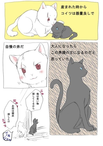 Nekotalia cover