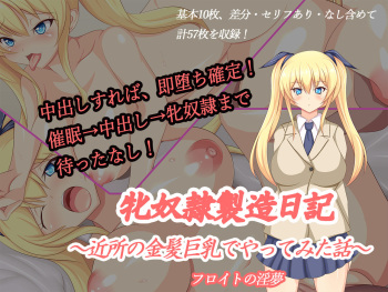 Mesu Dorei Seizou Nikki ~Kinjo no Kinpatsu Kyonyuu de Yattemita Hanashi~ cover
