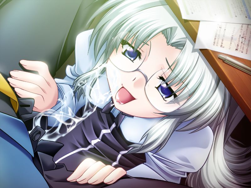 Megari ~Ryoujoku Hokokusho~ + Special Disc page 2 full