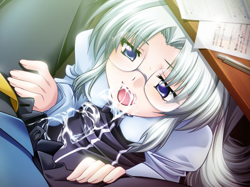 Megari ~Ryoujoku Hokokusho~ + Special Disc page 4 full