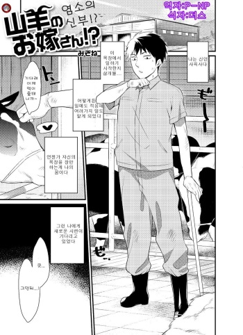 Yagi no oyomesan!? cover