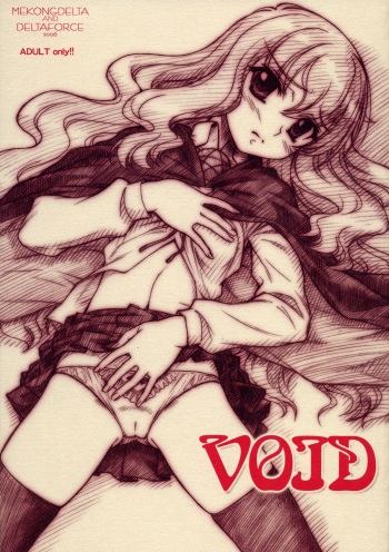 VOID cover