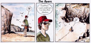 The Spare cover
