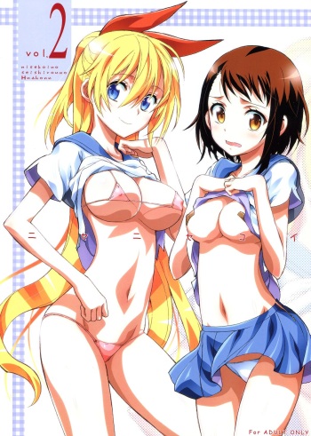 Nisenisekoi 2 cover