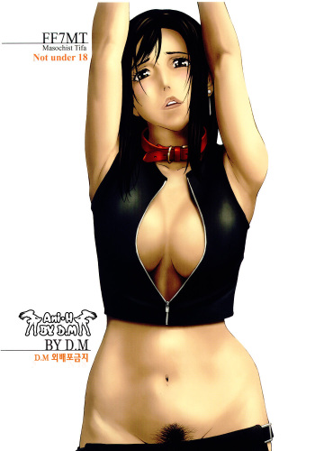FF7MT - Masochist Tifa cover