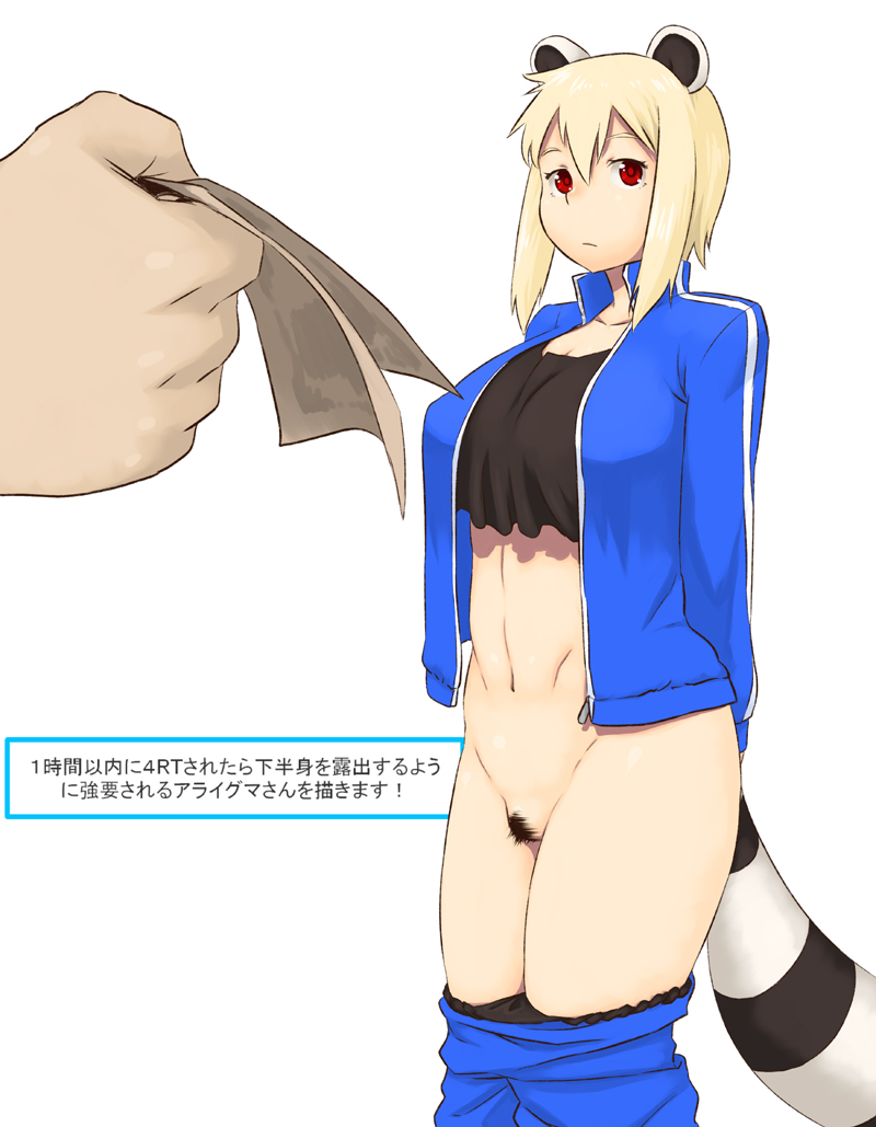 Araiguma-San Collection page 4 full