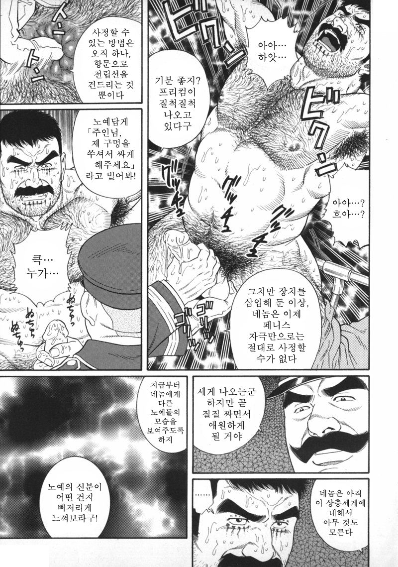 ZENITH page 7 full