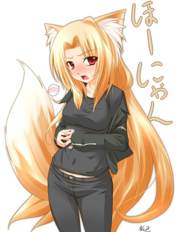 Animal Ears collection cover