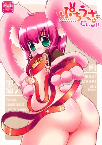 Puchi Usa cue!! cover