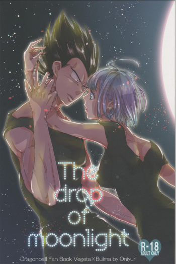 The drop of moonlight cover