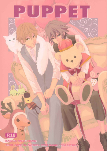 Puppet cover