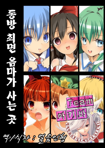 Touhou Saimin Inmakyou cover