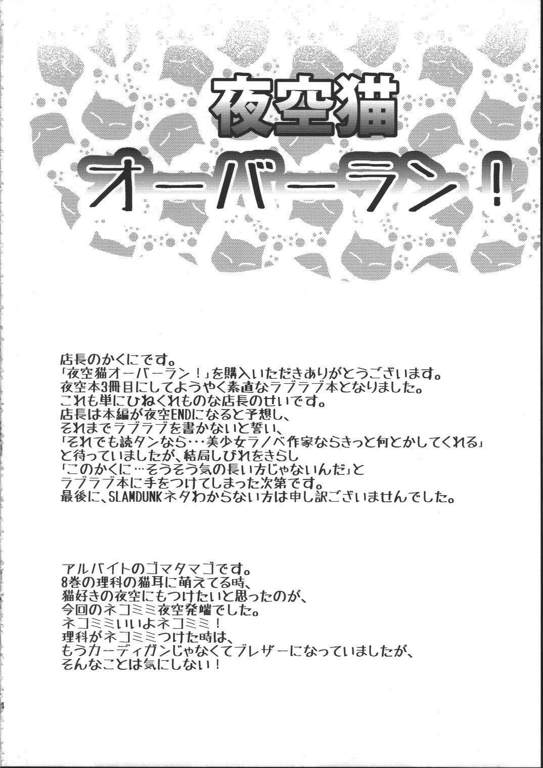 Yozora Neko Overrun page 3 full