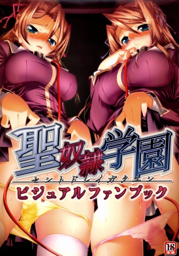 Saint Dorei Gakuen Visual Fan Book cover