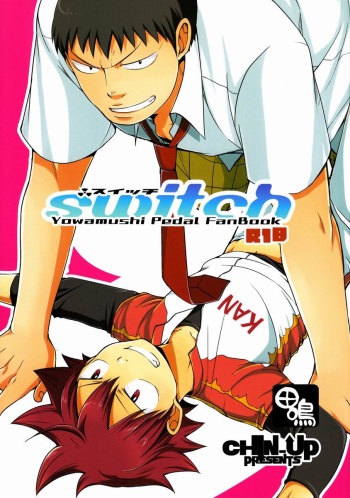 switch cover
