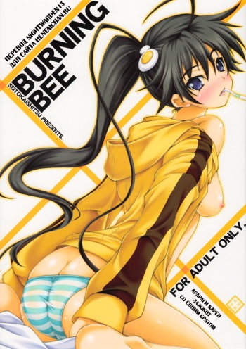 BURNING BEE cover