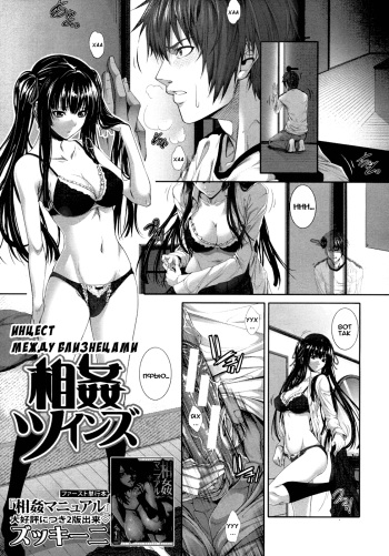 Soukan Twins cover