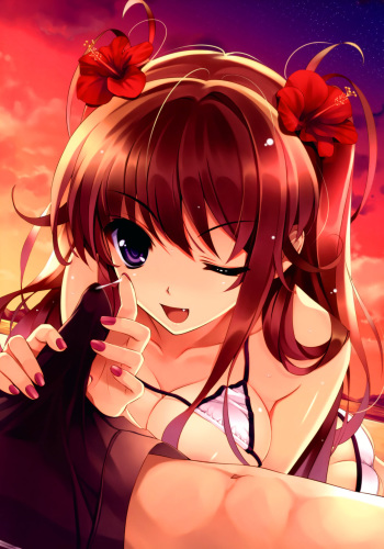 Gigantic Hentai Collection cover