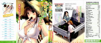 Colorful Harvest cover
