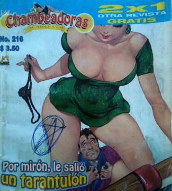Chambeadoras #216 cover