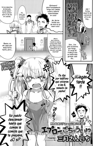 Apron ni Gochuui!? cover