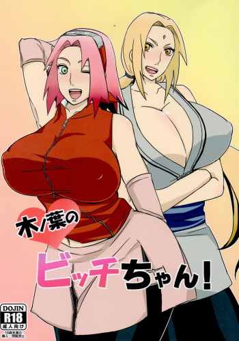 Konoha no Bitch-chan! cover