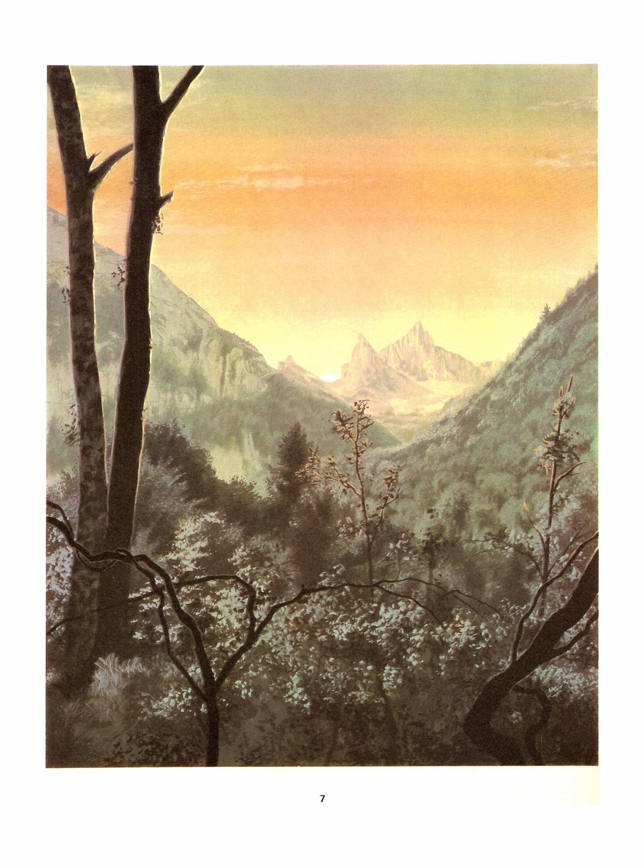 Amazones page 5 full