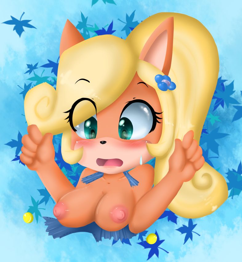 Coco Bandicoot Collection page 3 full