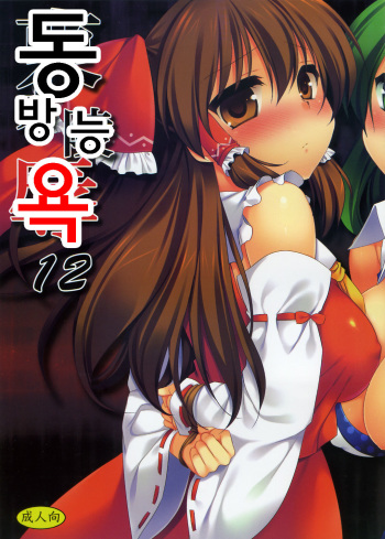 Touhou Ryoujoku 12 cover