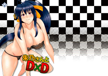 Akeno-san to DxD cover
