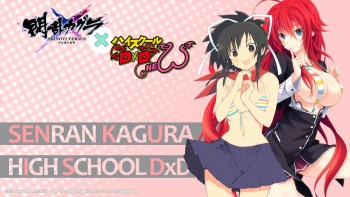 Collection of High School DxD cover