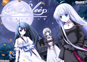 end sleep cover